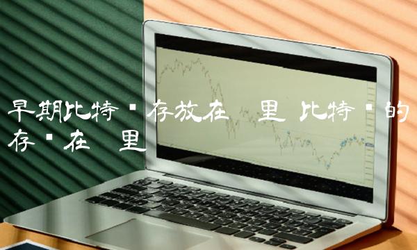 早期比特币存放在哪里-图1