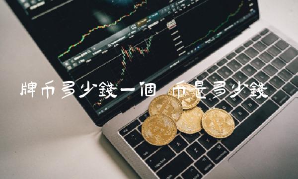牌币多少钱一个-图1