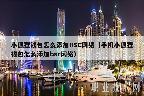 小狐狸钱包怎么添加BSC网络（手机小狐狸钱包怎么添加bsc网络）-图1