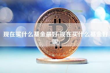 现在买什么基金最好 - 现在买什么基金好呢-图1