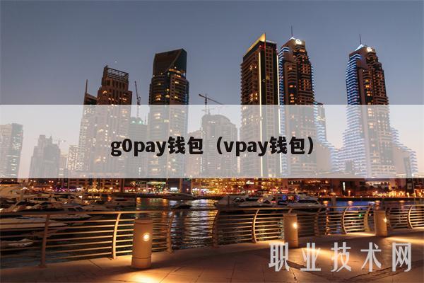 g0pay钱包（vpay钱包）-图1