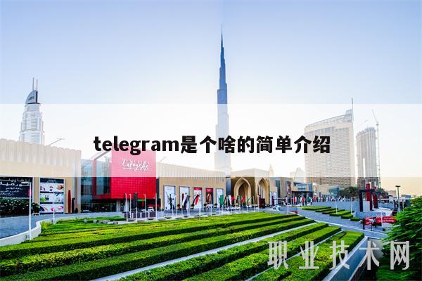 tlgram是个啥的简单介绍-图1