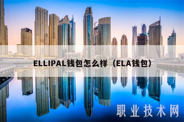LLIPAL钱包怎么样（LA钱包）-图1