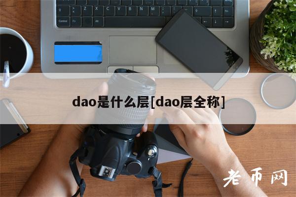 dao是什么层[dao层全称]-图1