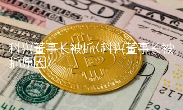科兴董事长被抓(科兴董事长被抓原因)-图1