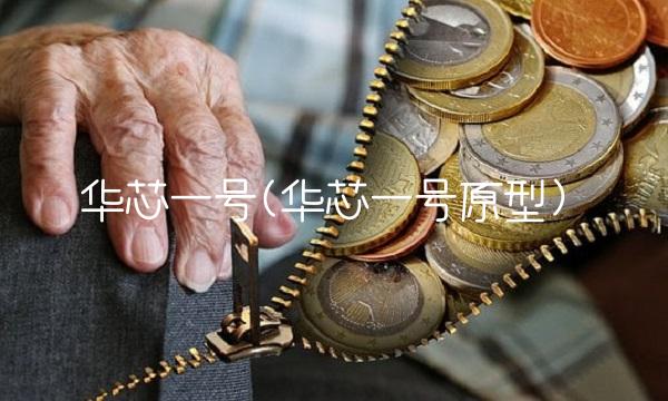 华芯一号(华芯一号原型)-图1