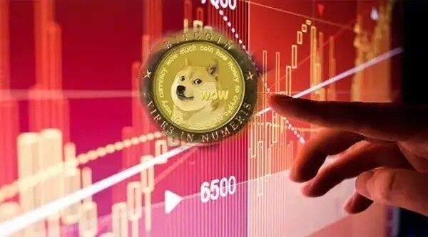 Dog狗狗币钱包下载-图3