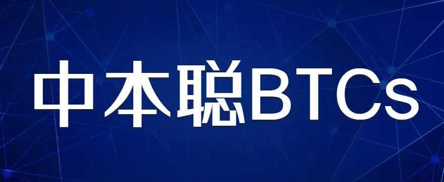 中本聪BTCS钱包app下载-图1