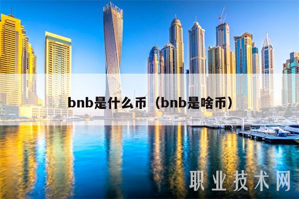 bnb是什么币（bnb是啥币-图1