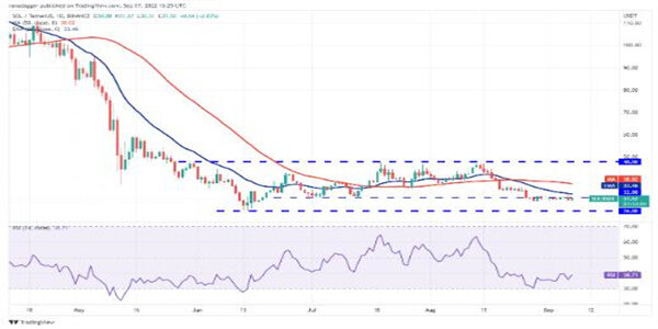 2022价格分析：BTC、BTH、BNB、RP、ADA、SOL、DOGB、DOT、MATIC、SHIB-图7