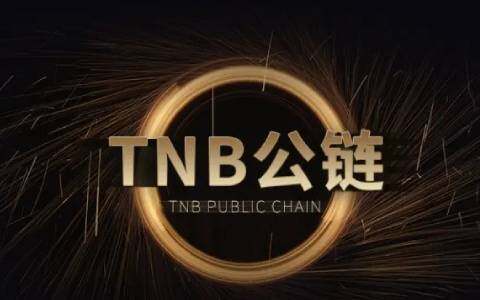 最新比特币今天的消息预测(最新比特币今天的消息预测中国)-图1
