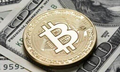2017年狗狗币交易平台(2018年狗狗币交易平台)-图1