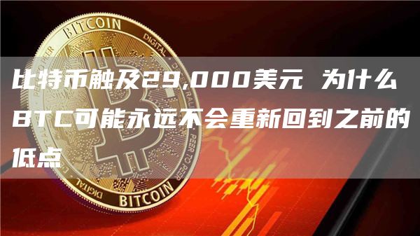 比特币触及29,000美元 为什么BTC可能永远不会重新回到之前的低点-图1