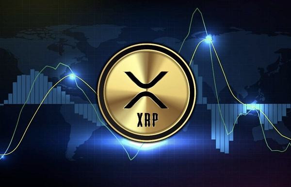 kishu最新信息(kishu最新动态)-图1
