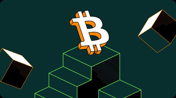 欧美柚子币交易所软件哪里可以买？-图2