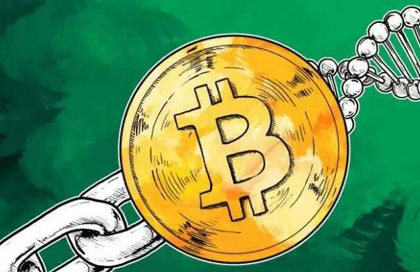 10大btc交易平台排行  币比特币平台排名前10名-图1