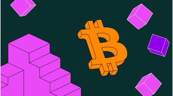 英国最好用狗狗币冷钱包哪里能?-图1 英国最好用狗狗币冷钱包哪里能?-图1