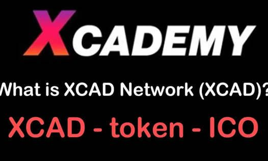 XCAD是什么币 XCAD币值得投资吗-图1