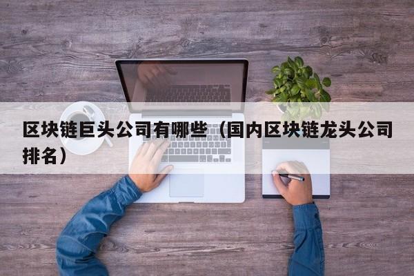 区块链巨头公司有哪些（国内区块链龙头公司排名）-图1