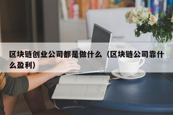 区块链创业公司都是做什么（区块链公司靠什么盈利）-图1