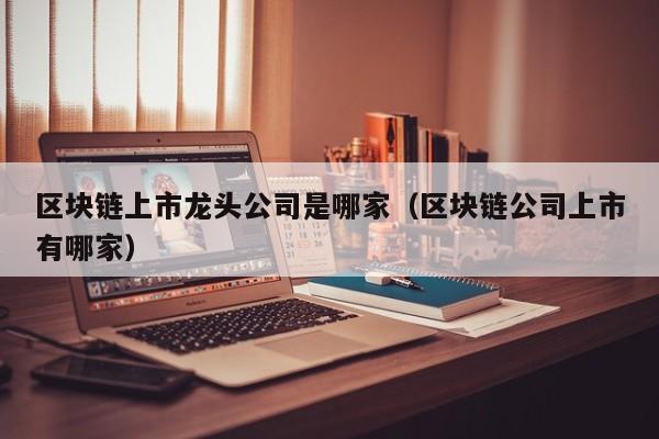 区块链上市龙头公司是哪家（区块链公司上市有哪家）-图1