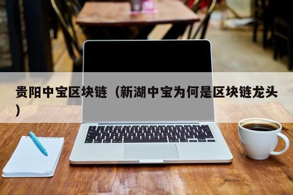 贵阳中宝区块链（新湖中宝为何是区块链龙头）-图1