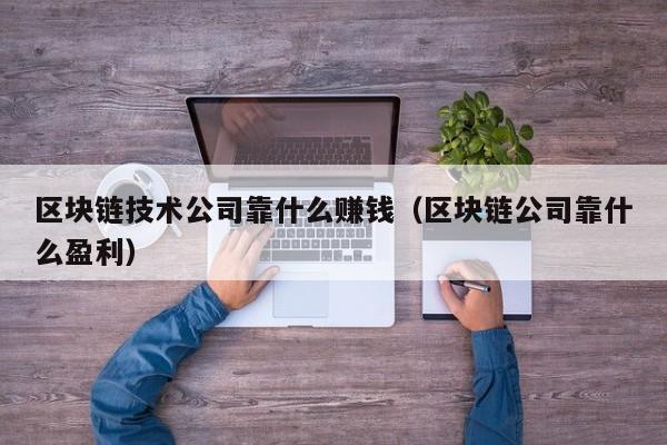 区块链技术公司靠什么赚钱（区块链公司靠什么盈利）-图1