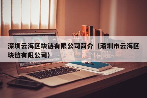 深圳云海区块链有限公司简介（深圳市云海区块链有限公司）-图1