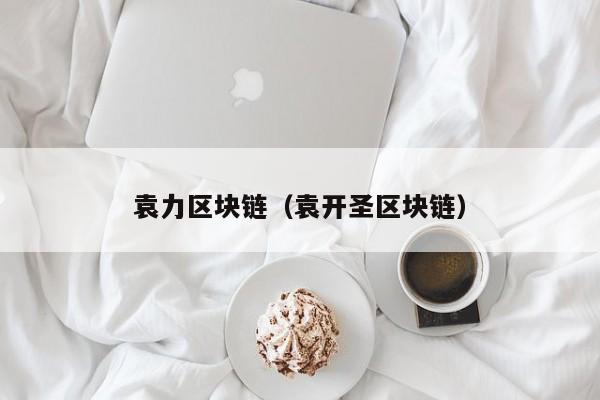 袁力区块链（袁开圣区块链）-图1