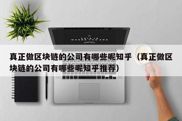 真正做区块链的公司有哪些呢知乎（真正做区块链的公司有哪些呢知乎推荐）-图1