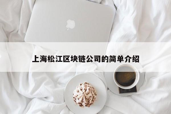上海松江区块链公司的简单介绍-图1