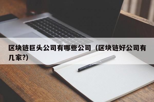 区块链巨头公司有哪些公司（区块链好公司有几家?）-图1