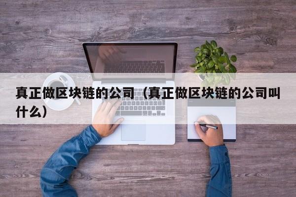 真正做区块链的公司（真正做区块链的公司叫什么）-图1