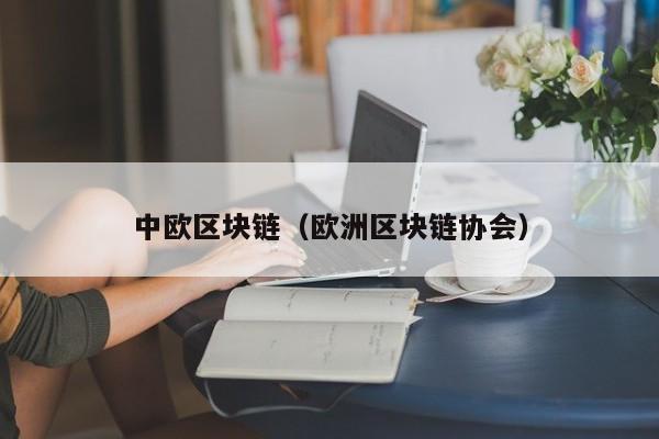 中欧区块链（欧洲区块链协会）-图1