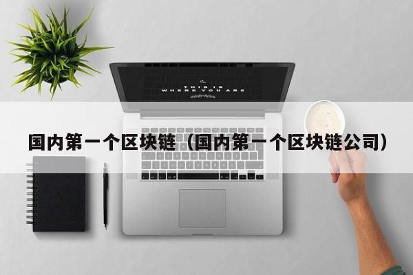 国内第一个区块链（国内第一个区块链公司）-图1