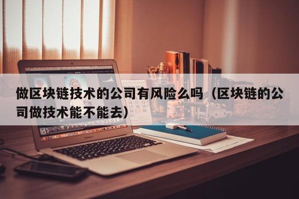 做区块链技术的公司有风险么吗（区块链的公司做技术能不能去）-图1