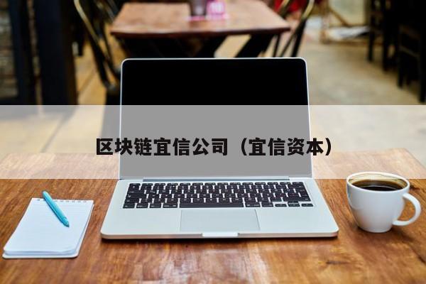 区块链宜信公司（宜信资本）-图1