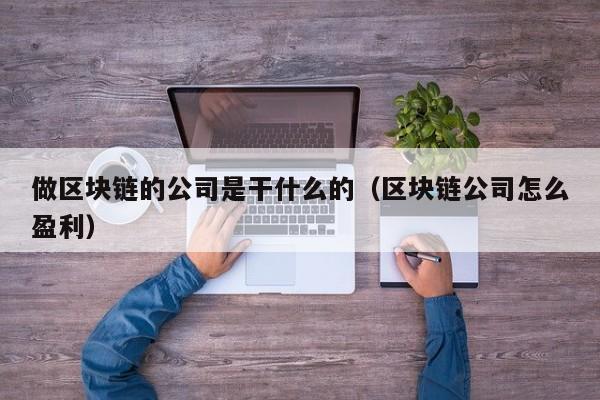 做区块链的公司是干什么的（区块链公司怎么盈利）-图1