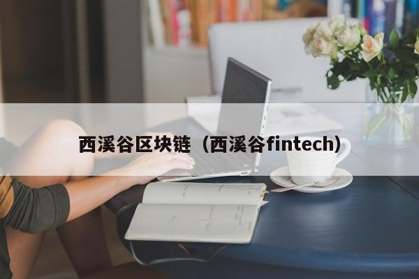 西溪谷区块链（西溪谷fintech）-图1