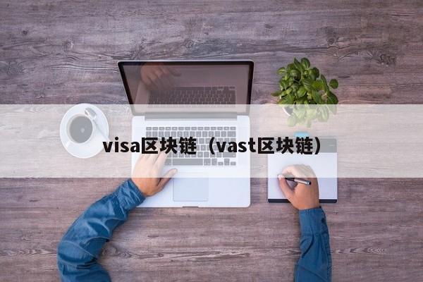 visa区块链（vast区块链）-图1