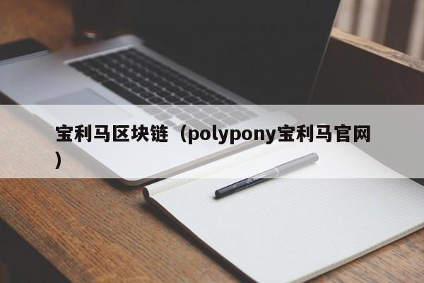 宝利马区块链（polypony宝利马官网）-图1