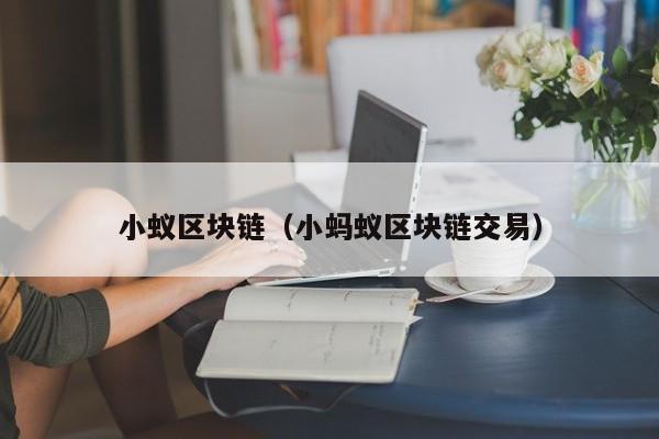 小蚁区块链（小蚂蚁区块链交易）-图1