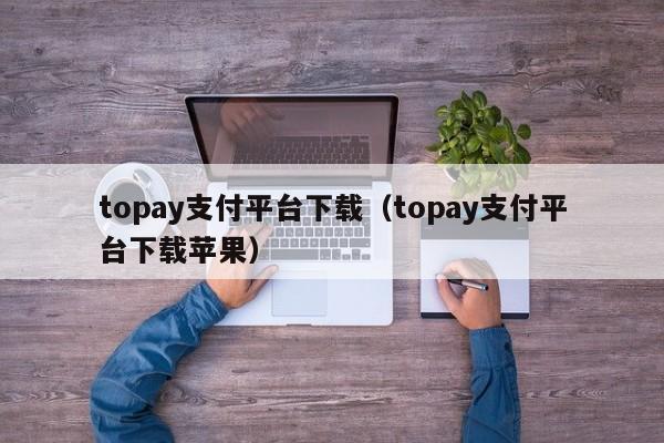 topay支付平台下载（topay支付平台下载苹果）-图1