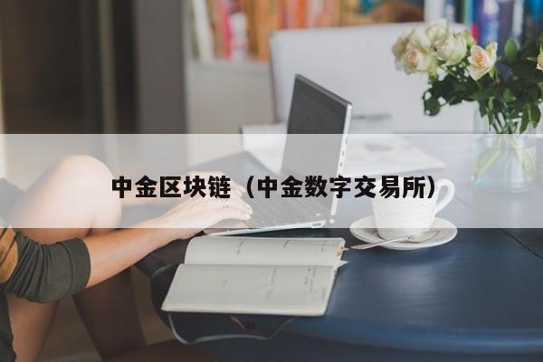 中金区块链（中金数字交易所）-图1
