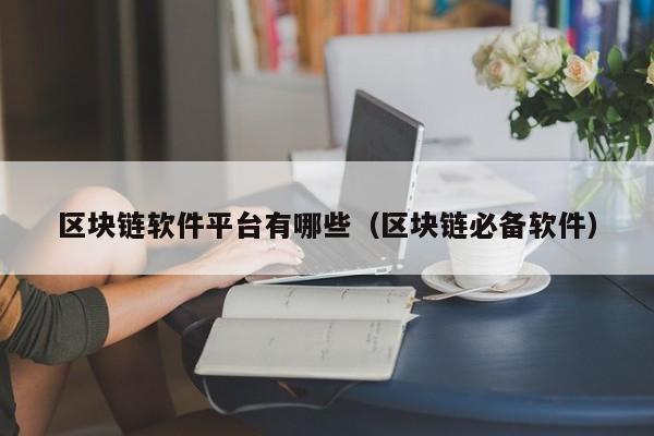 区块链软件平台有哪些（区块链必备软件）-图1