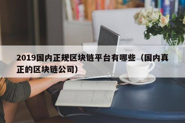2019国内正规区块链平台有哪些（国内真正的区块链公司）-图1
