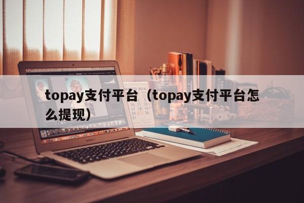 topay支付平台（topay支付平台怎么提现）-图1