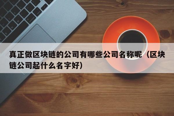 真正做区块链的公司有哪些公司名称呢（区块链公司起什么名字好）-图1