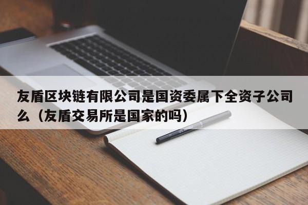 友盾区块链有限公司是国资委属下全资子公司么（友盾交易所是国家的吗）-图1